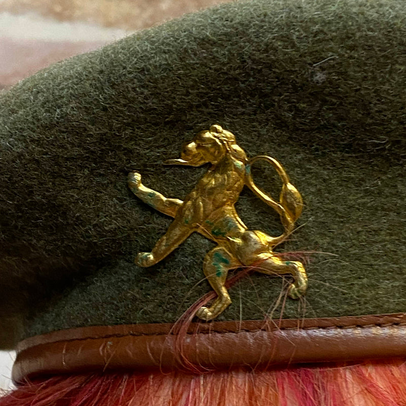 „Detailaufnahme vom goldfarbenen Löwen-Abzeichen auf grünem Vintage Barett“