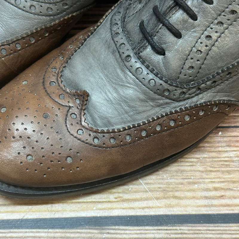 Detailaufnahme Leder und Broguing-Muster der Geox Schuhe, Größe 40