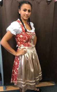 Dirndl mit Schürze