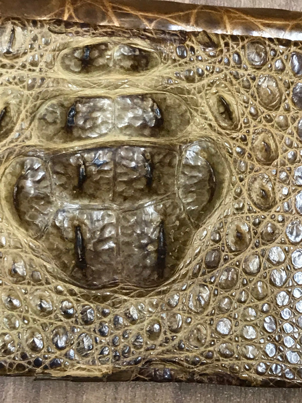 Detailaufnahme Krokodilhaut-Struktur der Clutch.